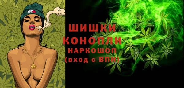 гидра Михайловка