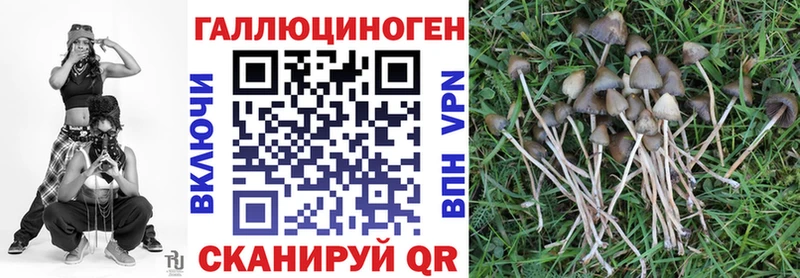 Галлюциногенные грибы мухоморы Лысково