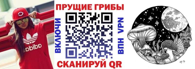 Псилоцибиновые грибы ЛСД hydra онион Лысково